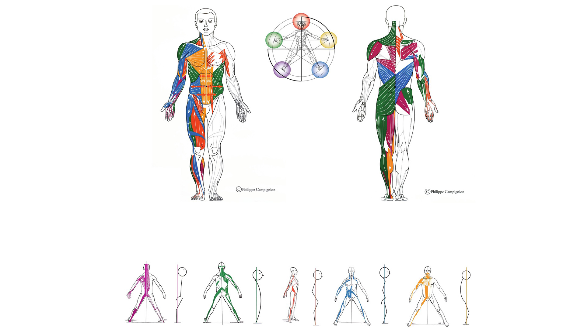 catene_muscolari_slide